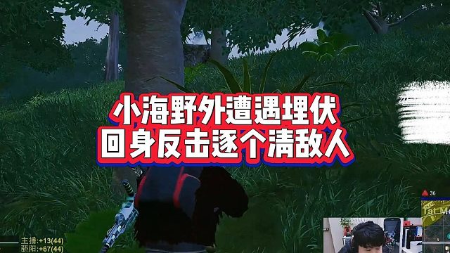 小海野外遭遇埋伏，回身反击逐个清敌人