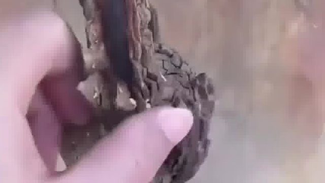 博主晒被海水腐蚀的锚链，“神奇的不锈钢” ！海水几乎能腐蚀任何东西