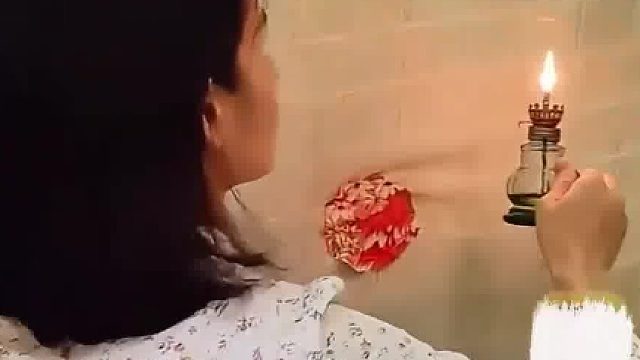 火焰飞蛾迷雾行，自然趋光揭秘奇