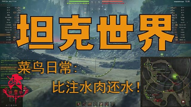 坦克世界—菜鸟日常：比注水肉还水！