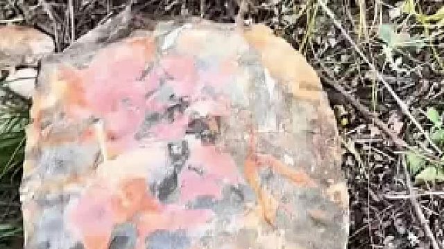 路边发现一块奇特的石头 结果翻过来一看万万没想到 网友_这是从哪掉下来的