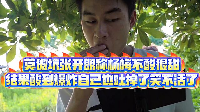 【集梦张开朗【233】】莫傲坑张开朗称杨梅不酸很甜,结果酸到爆炸自己也吐掉了笑不活了