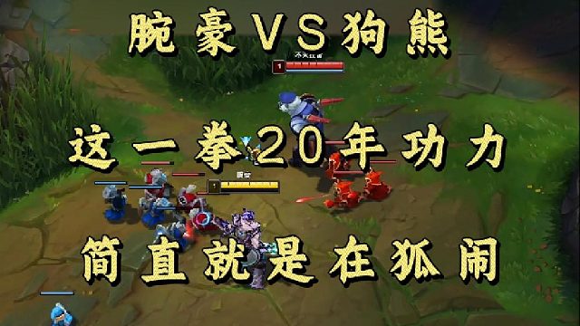 腕豪VS狗熊 这一拳20年功力 简直就是在狐闹！
