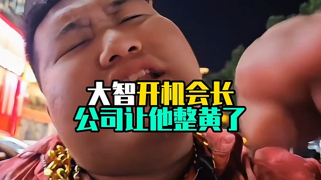大智开机会长：公司让他整黄了