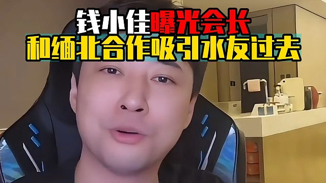 钱小佳曝光会长，和缅北合作吸引水友过去