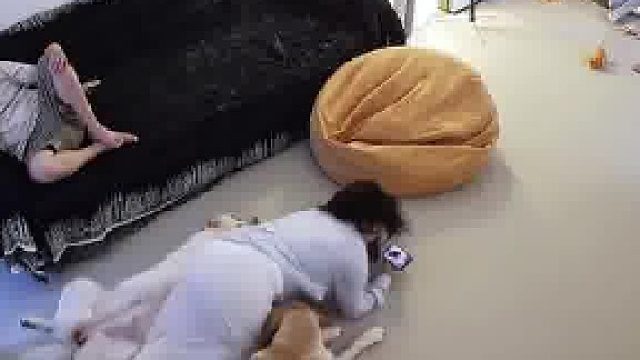 如果你很注重个人隐私，千万不要养狗，否则就会得到…