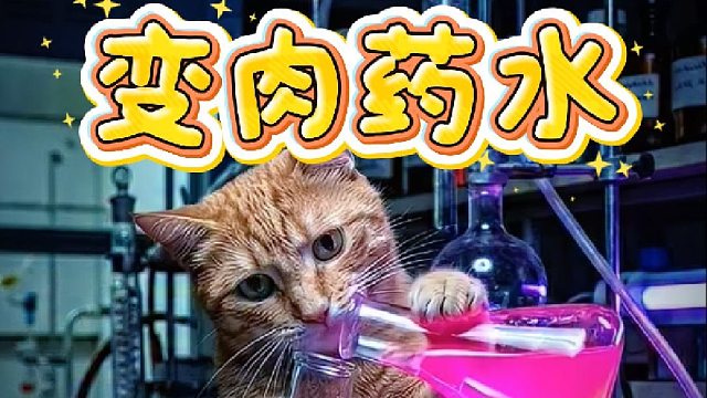 猫咪日常生活系列之变肉药水