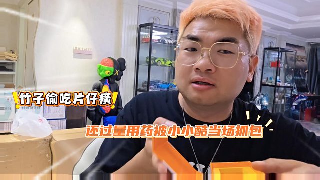 竹子偷吃片仔癀，还过量用药被小小酷当场抓包