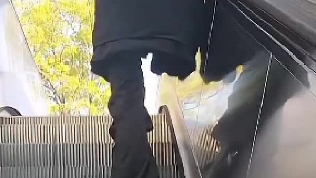 猛一看以为那是断腿脚