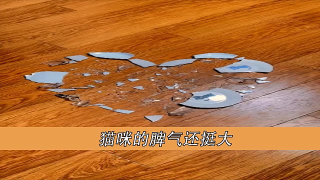 猫咪的脾气还挺大