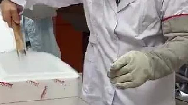 老师用冻鱼做“液氮复活实验，将冻鱼放进温水不会就复活了