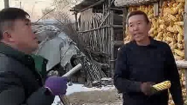 上农户家收玉米