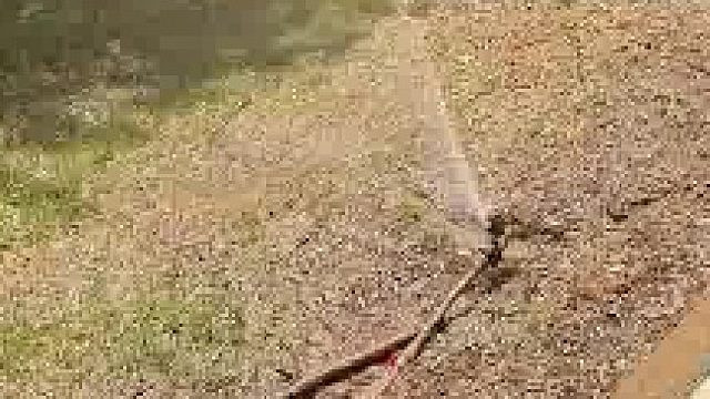 起猛了自助浇水器在做“仰卧起坐，像极了一堆bug但却能正常运行