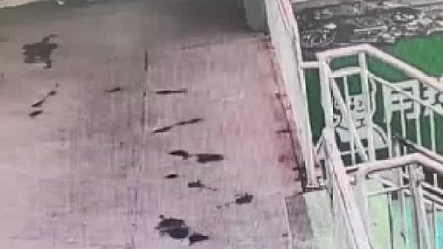 带两万元准备去换成零钱，去拿充电线把钱放在地上被陌生人捡走