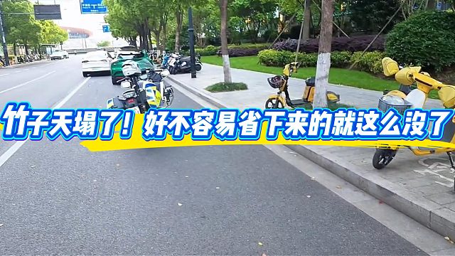 酷哥直播时发现竹子和自己的车被贴罚单！？竹子天塌了！