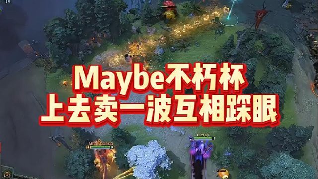Maybe不朽杯，上去卖一波互相踩眼