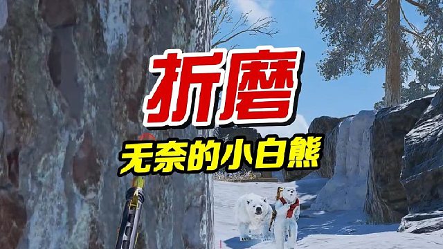 无奈的小白熊