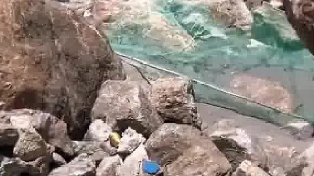 海边惊现抓蝉名场面，渔民技艺高超，轻轻松松就收获颇丰