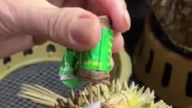 榴莲柄意外掉落，摊主为减少损失竟直接拿牙签插回去