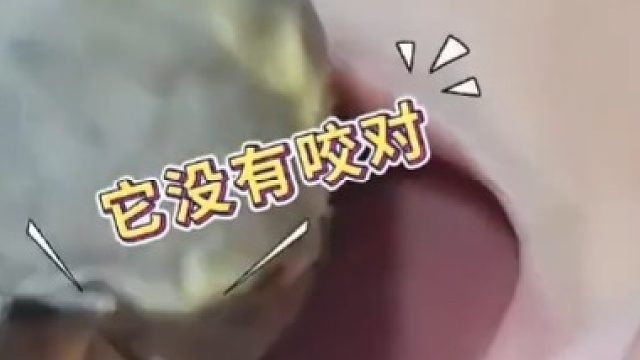 帮我看看，我这是什么医生