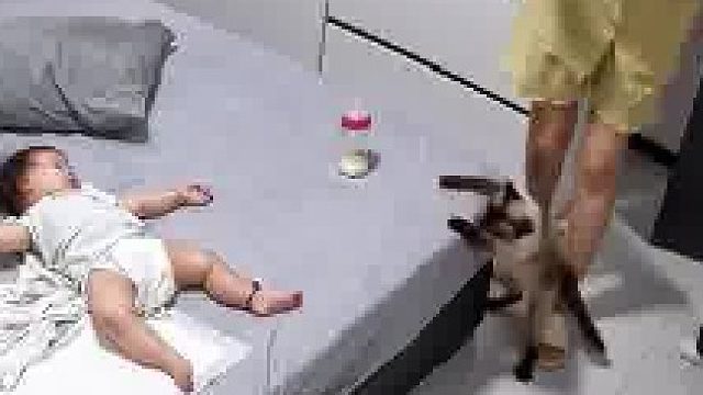 猫咪想跳上床结果看到宝宝，直接扭转方向挂到床边，妈妈：所以说平时踩我们都是故意的