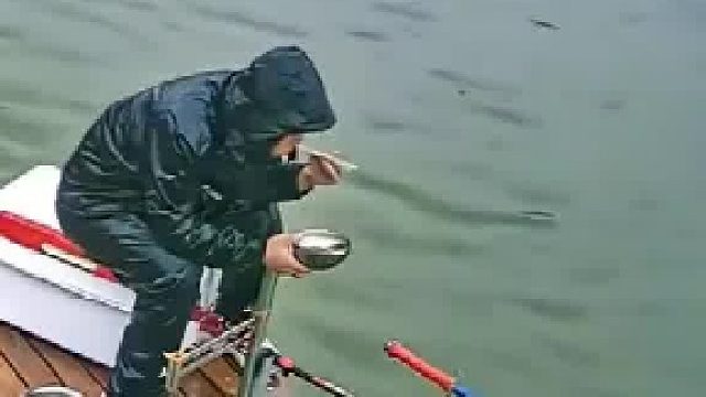 这才是钓鱼人的极致反应，上鱼瞬间毫不犹豫  ​