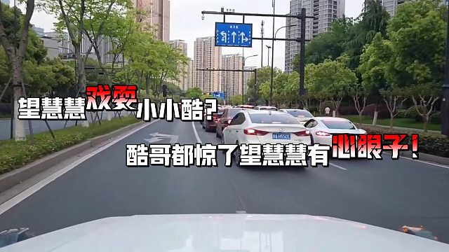 望慧慧开车戏耍小小酷！？