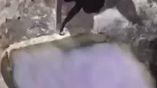 没想到还能这祥造假真是大开眼界