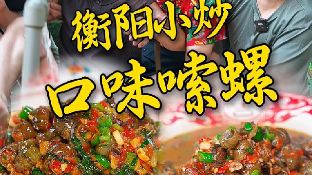 邪修版的高压锅唆螺和传统小炒版的口味唆螺你更喜欢哪一个。