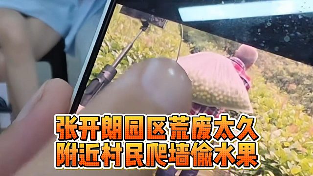 张开朗园区荒废太久，附近村民爬墙偷水果