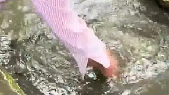 门票十块钱的华佗山动物园，园长的情绪价值拉满  ​