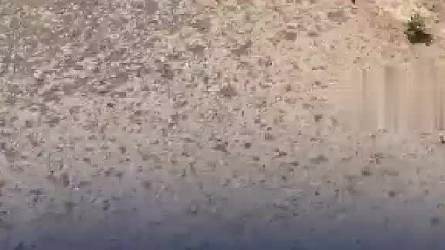大哥骑车遇到“牛背雨”
