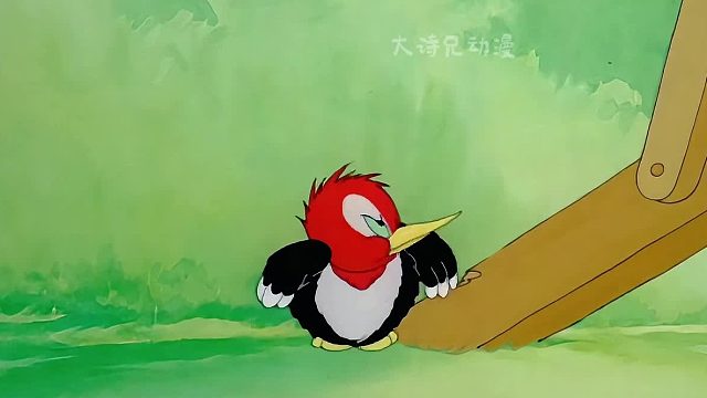 一只疯狂的小鸟，高调戏耍蓝皮猫