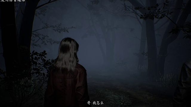女吊1