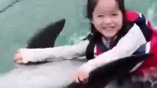 妈妈带女儿体验海豚伴游，两个小可爱相遇玩得不亦乐乎