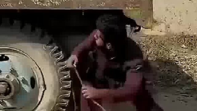 印度小哥0元购，竟袭击过路的车辆，被这操作看傻眼