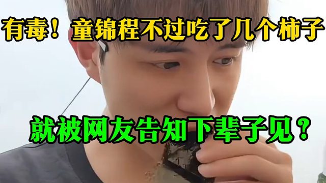 有毒！童锦程不过吃了几个柿子，就被网友告知下辈子见？