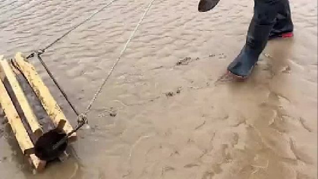 网友赶海挖蛏子，蛏子：开没开挂你自己知道，网友：还真是个体力活，贵是原因的
