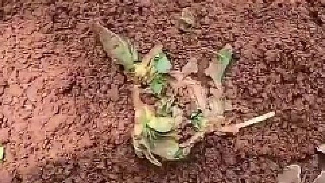 一滴答机油的货