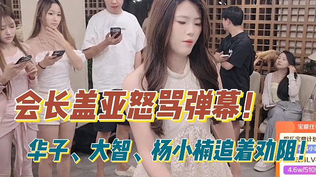 会长盖亚怒骂弹幕！华子、大智、杨小楠追着劝阻！