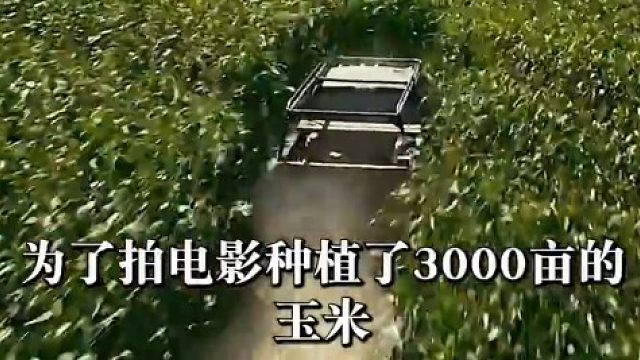 拍电影时的意外收获