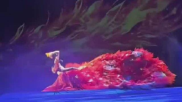 第一眼看成真孔雀了，感觉杨丽萍对孔雀舞已经到出神入化的境界了