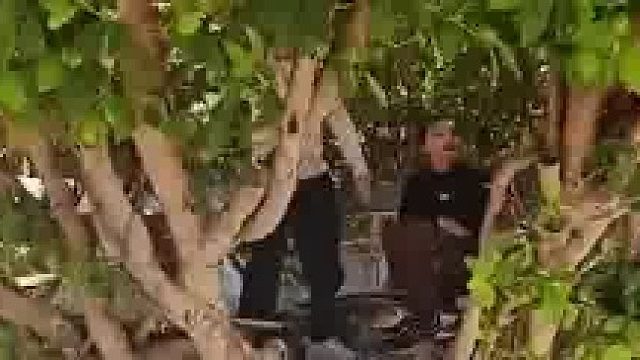 爸爸养出来他小时候梦寐以求的树屋  ​
