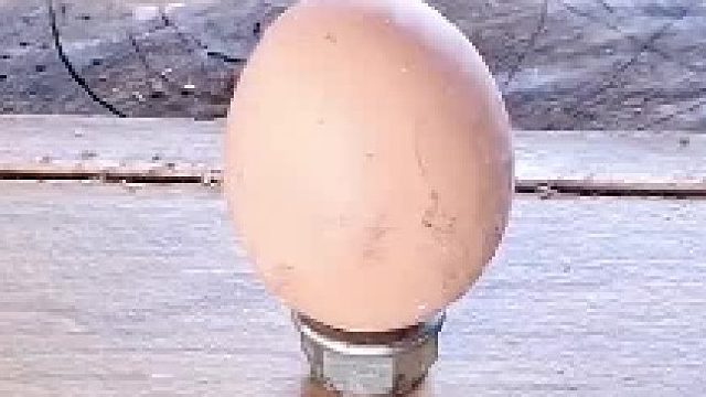 烤鸡蛋神操作曝光