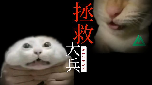 杨氏跑刀法