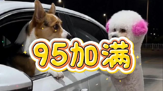 到底是谁坑我