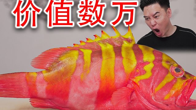 海王星斑，工资6位数都吃不起的鱼，我替你们试试看