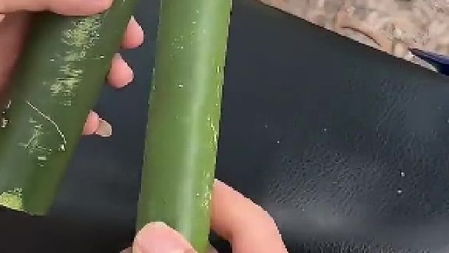 有男生会拒绝这个玩具吗