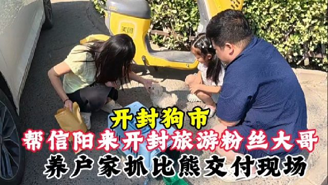 信阳来开封旅游粉丝，全权委托要只比熊，咱直接养户家挑好送达！