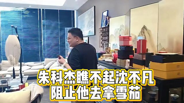 朱科杰瞧不起沈不凡，阻止他去拿雪茄